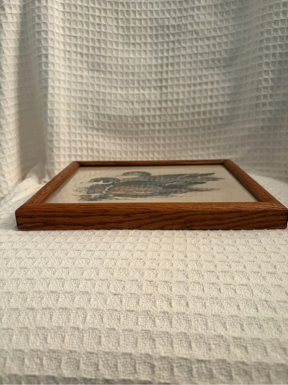 Vintage Donald Blakney Brown Wood Frame Duck Print Wall Art Signed & Date